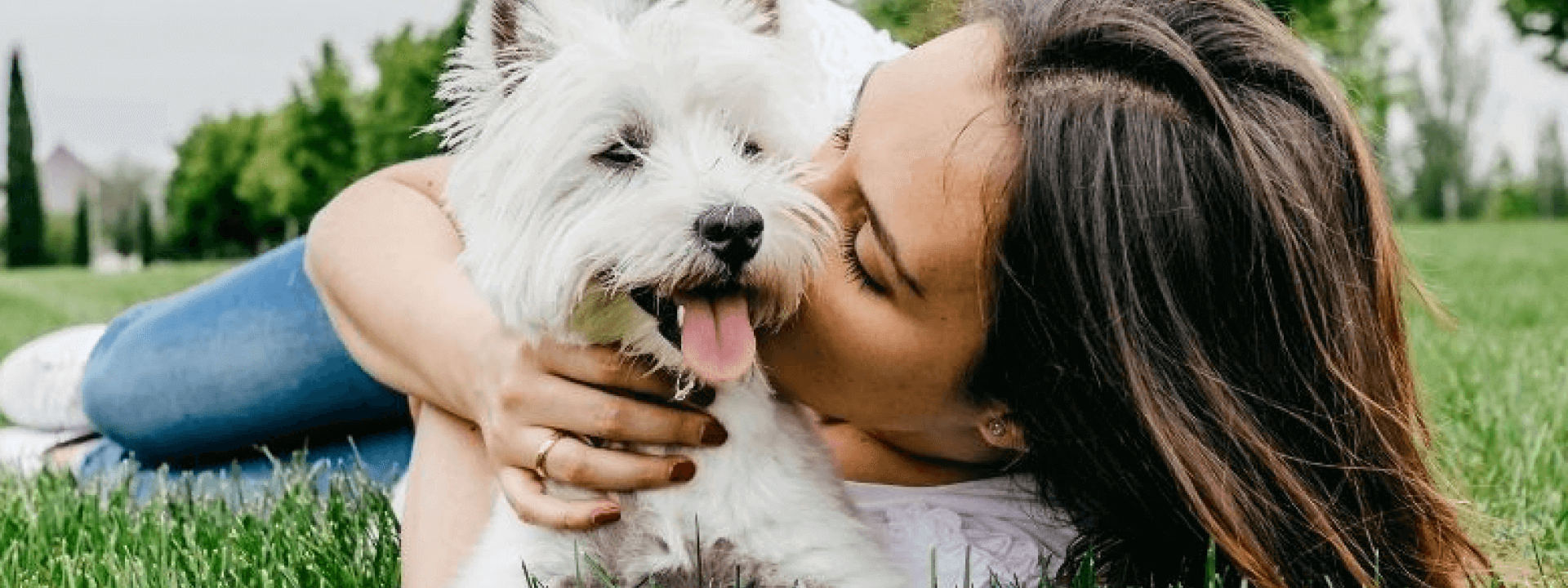 Affordable Gift for Dog Lovers Under $25 – Must-Have Picks